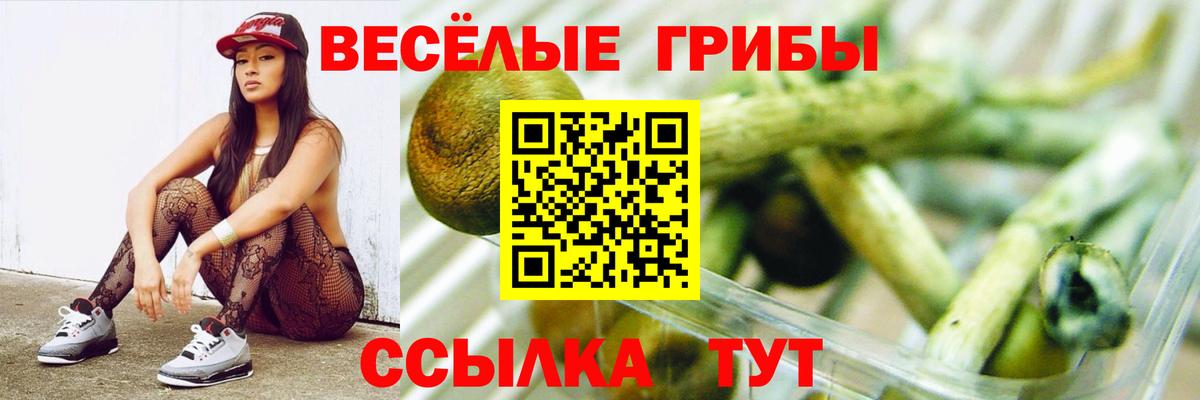 Галлюциногенные грибы Psilocybe  Вход с VPN  Хасавюрт  Псилоцибиновые грибы мицелий 